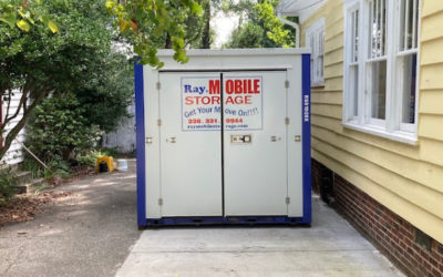 Ray Mobile Storage Can Handle Them With Ease
